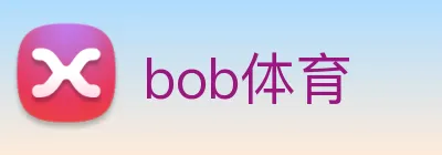 bob体育 logo